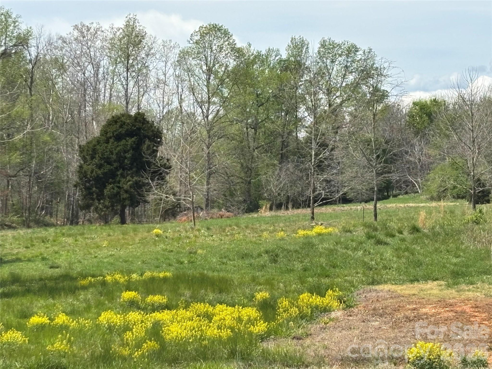 Lot #4 Prince Road - Photo 22