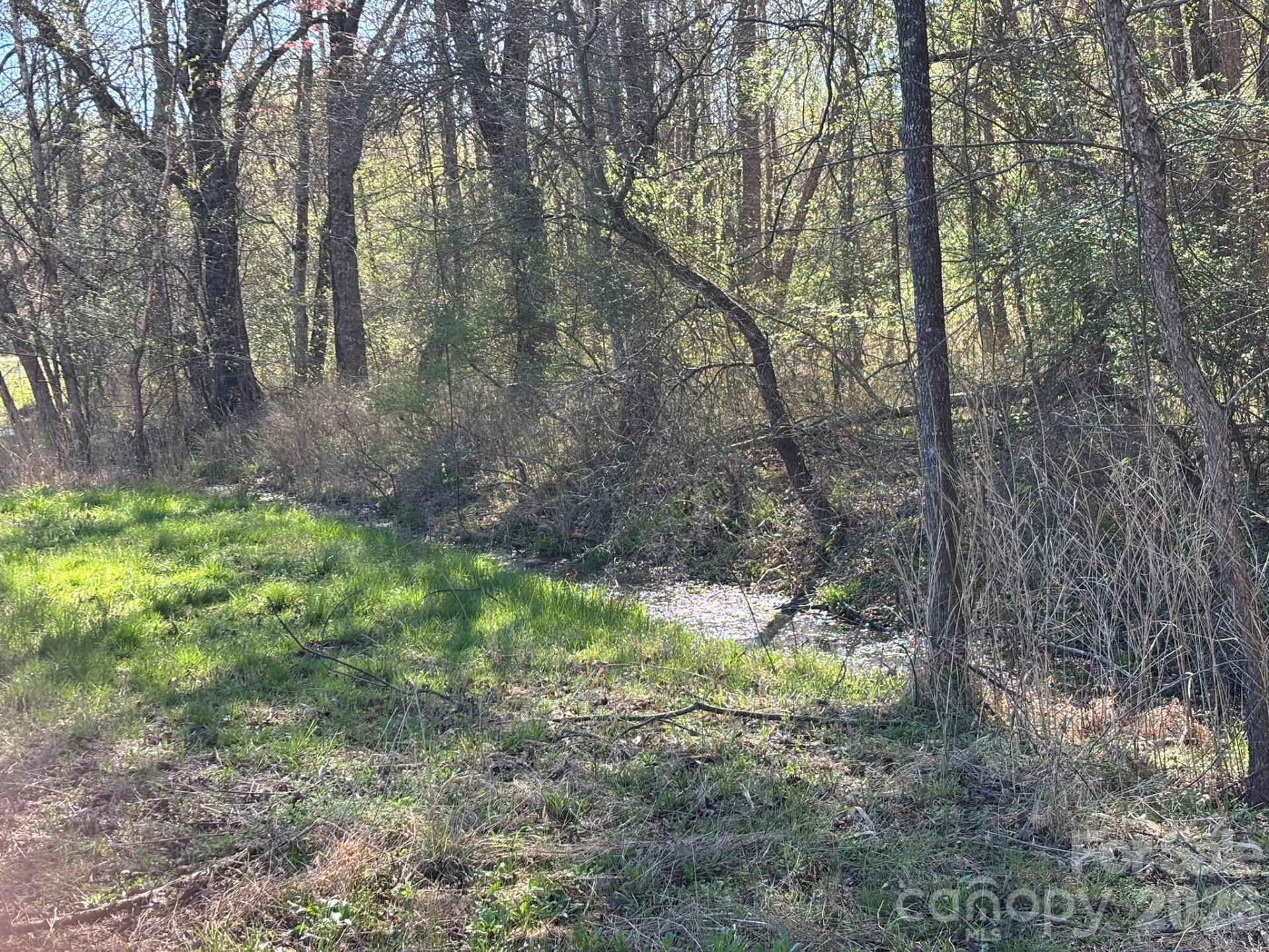 Lot #4 Prince Road - Photo 5