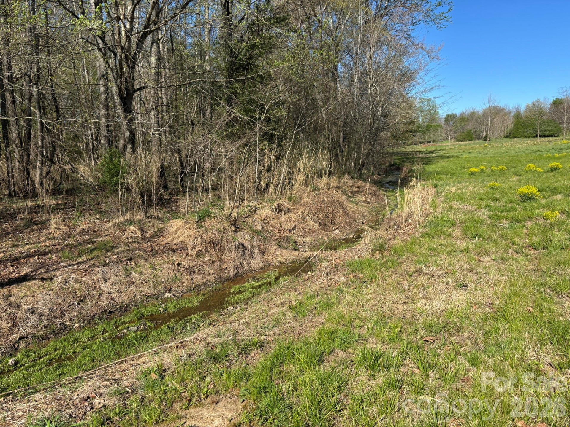 Lot #4 Prince Road - Photo 8