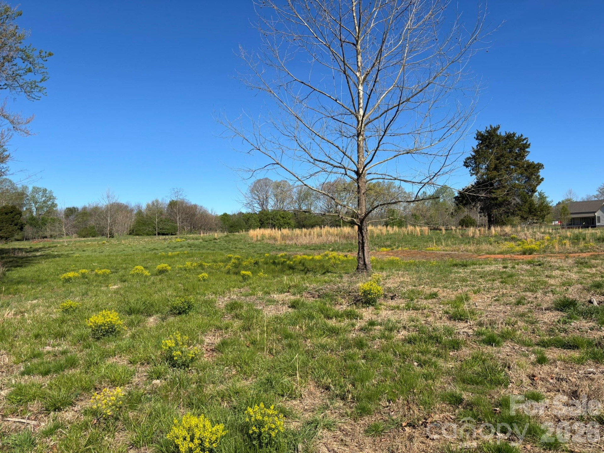 Lot #4 Prince Road - Photo 10