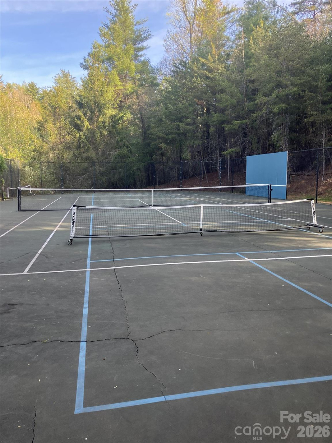 101 White Ash Drive - Photo 47