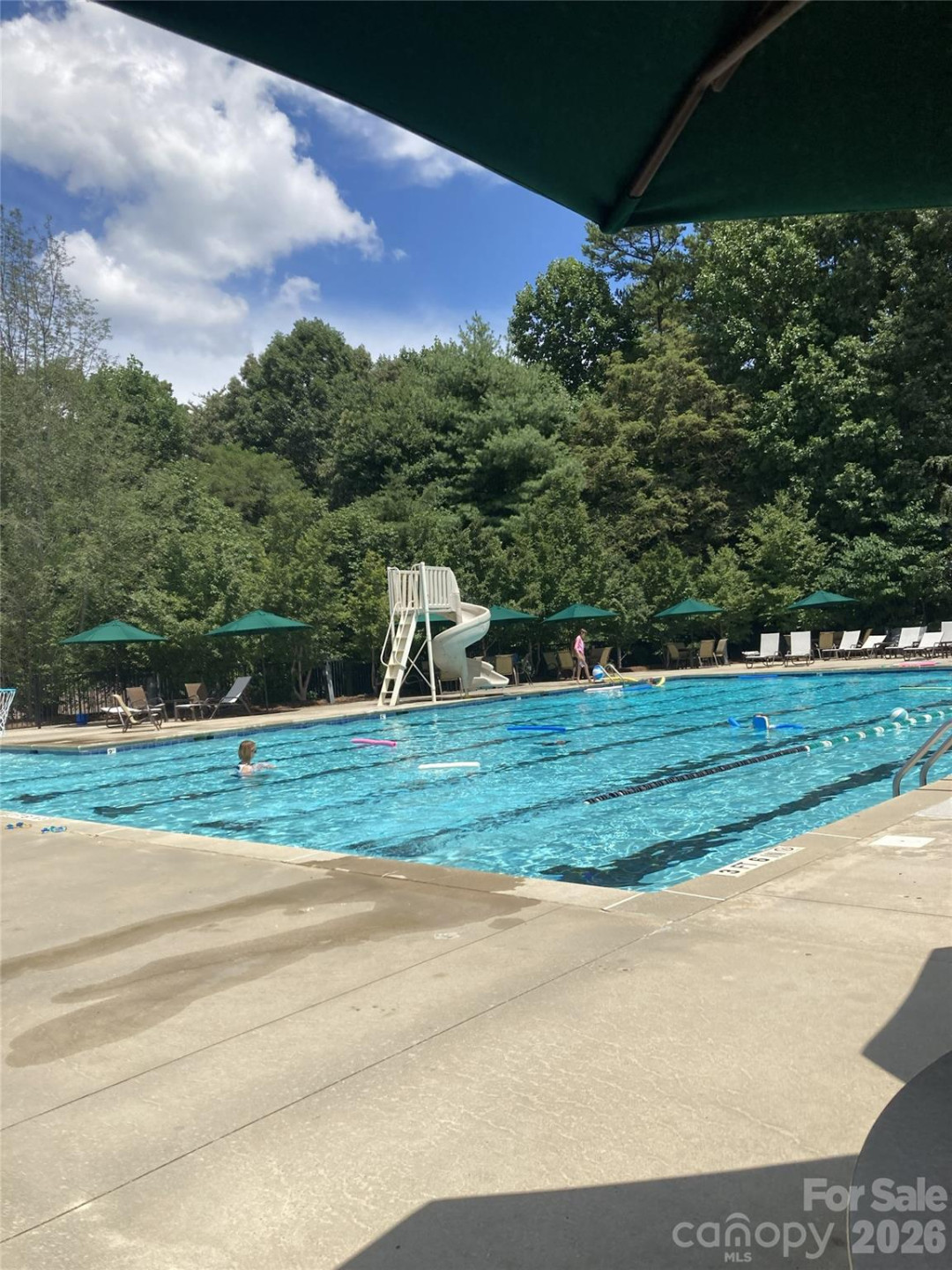 101 White Ash Drive - Photo 48