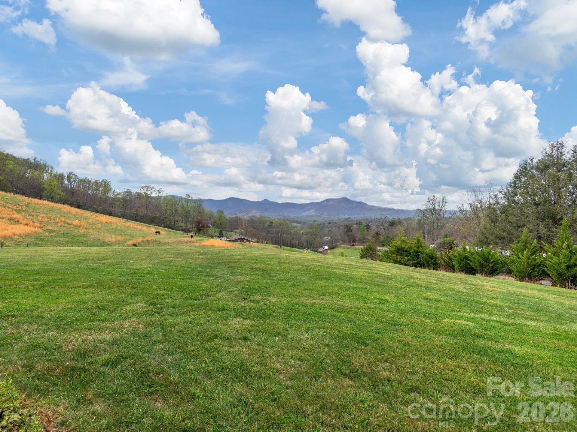 193 Youngs Cove Road - Photo 39