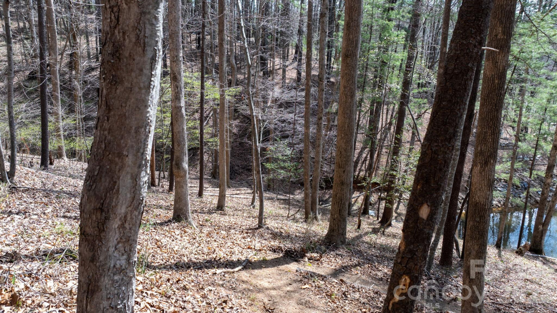 503 Larkhaven Drive - Photo 15