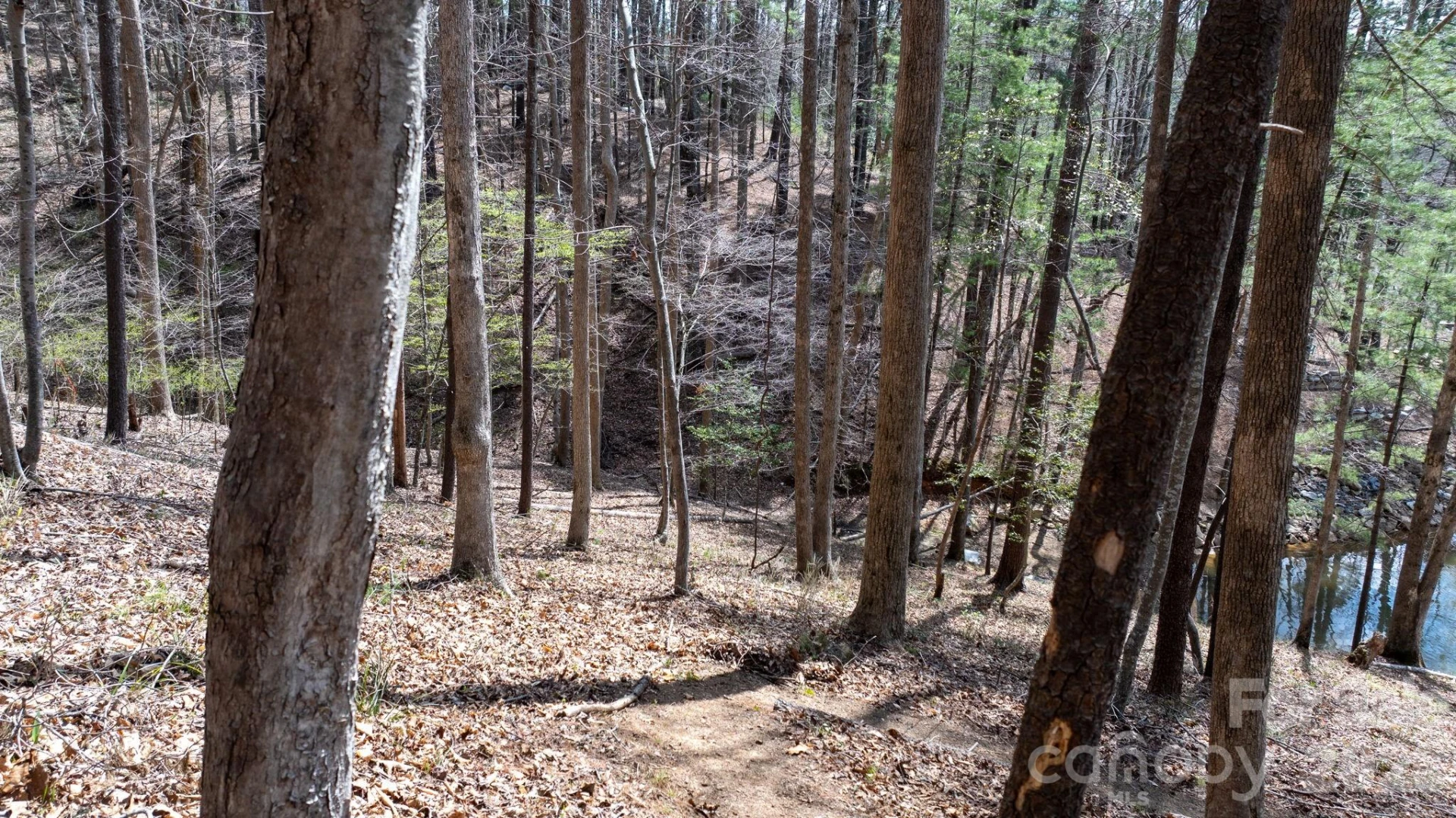 503 Larkhaven Drive - Photo 15
