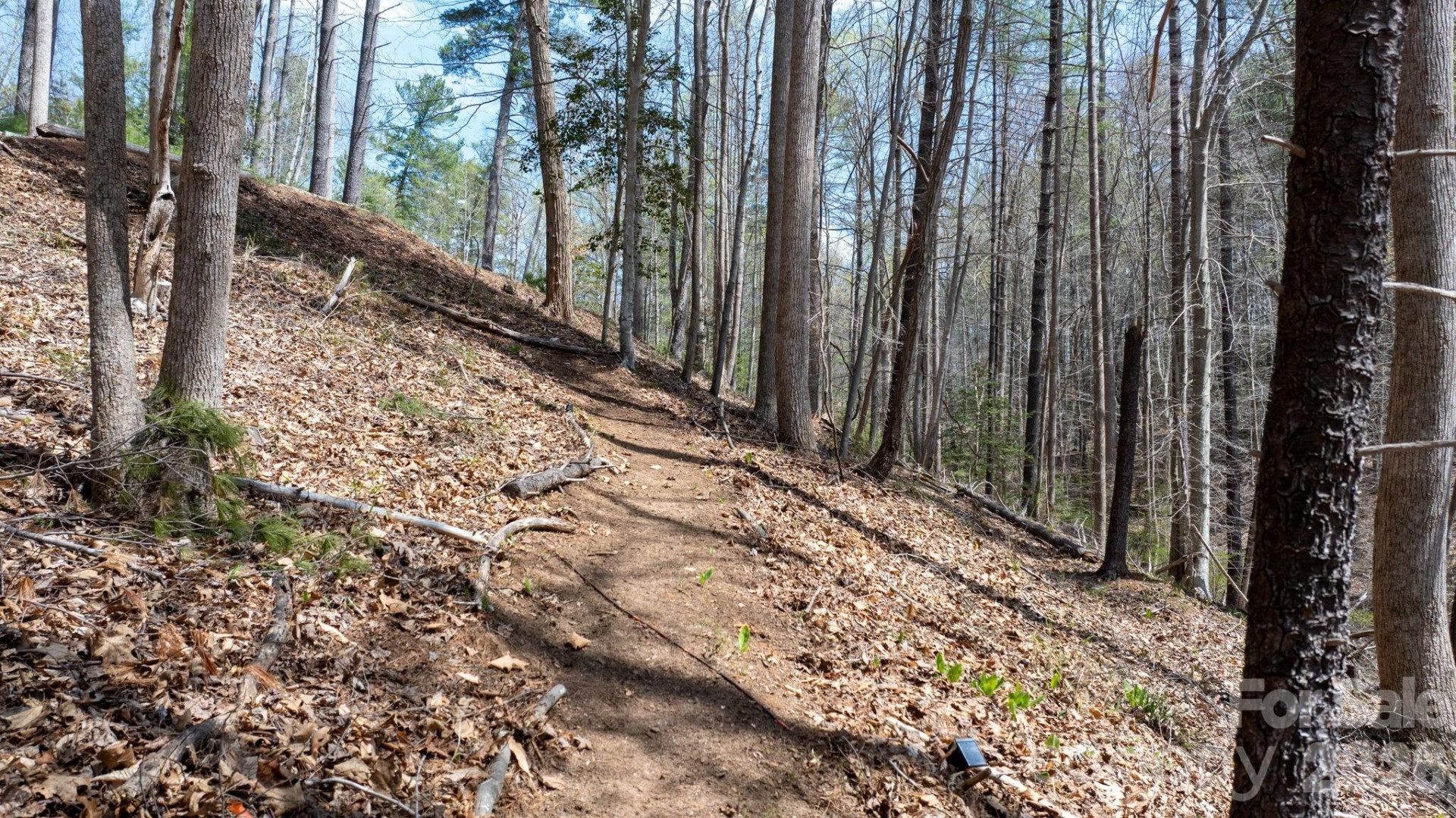 503 Larkhaven Drive - Photo 16