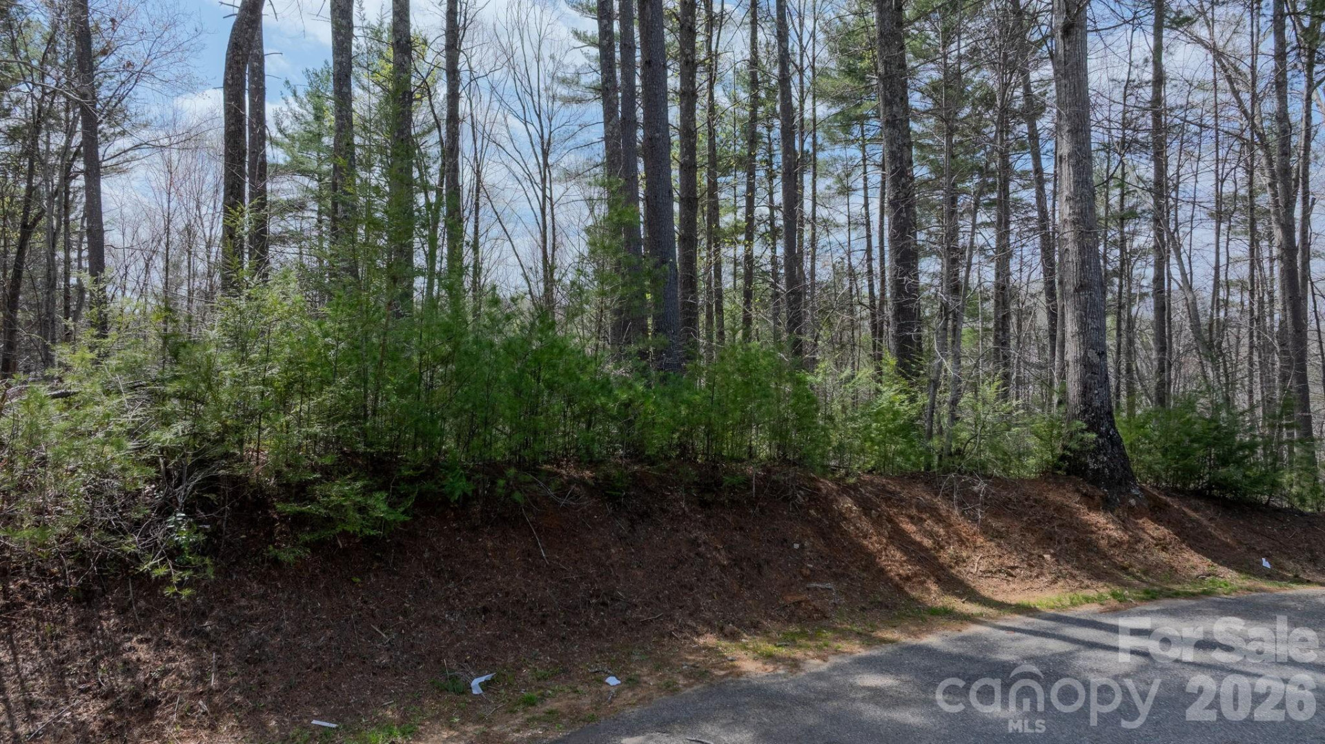 503 Larkhaven Drive - Photo 4