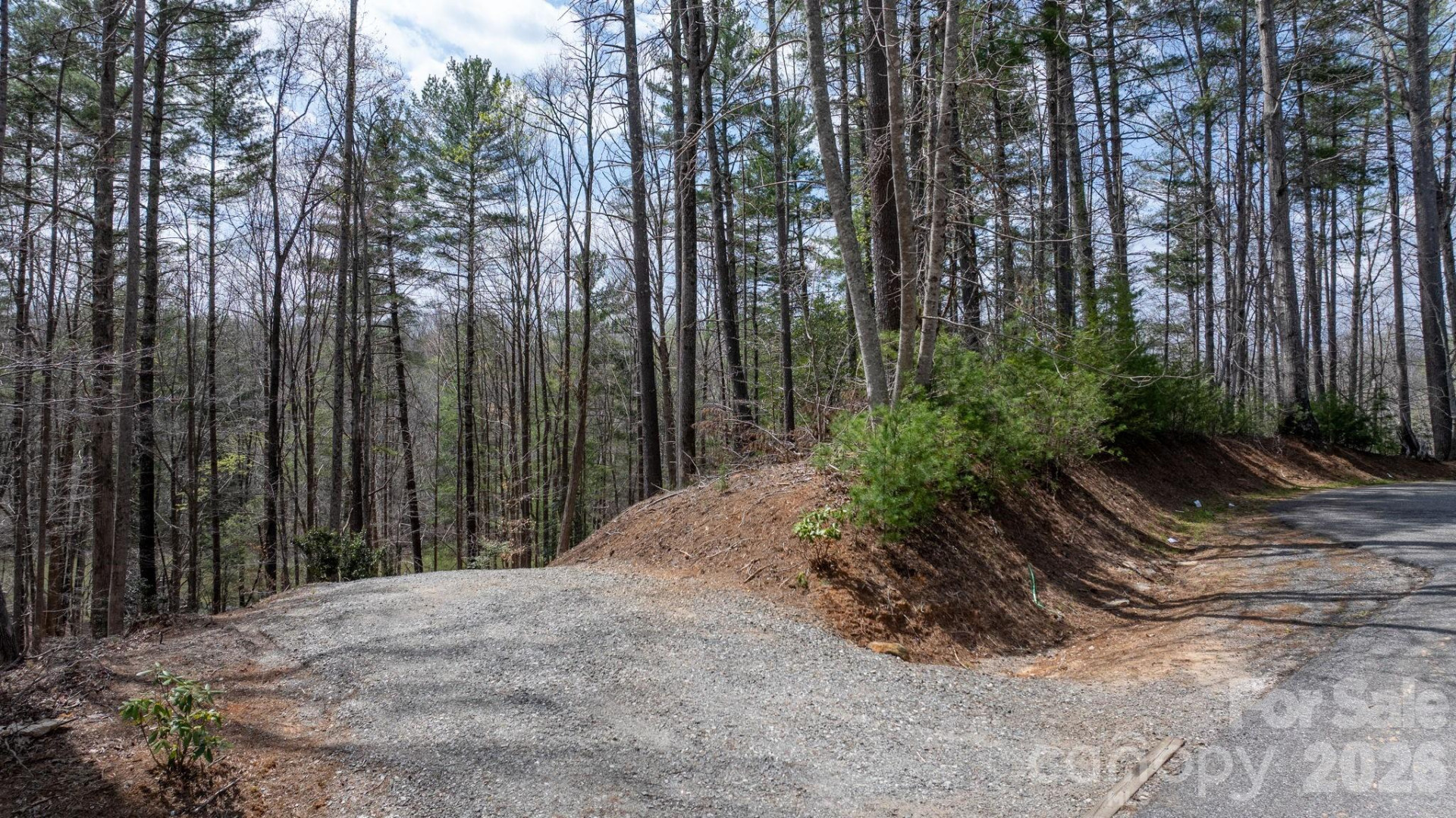 503 Larkhaven Drive - Photo 5