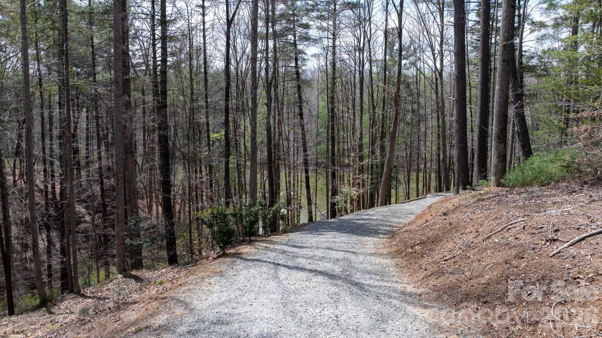 503 Larkhaven Drive - Photo 6