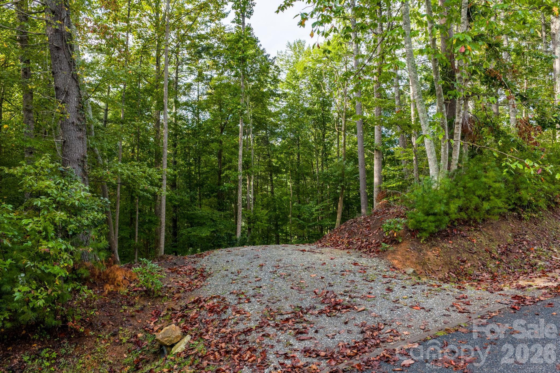 503 Larkhaven Drive - Photo 10