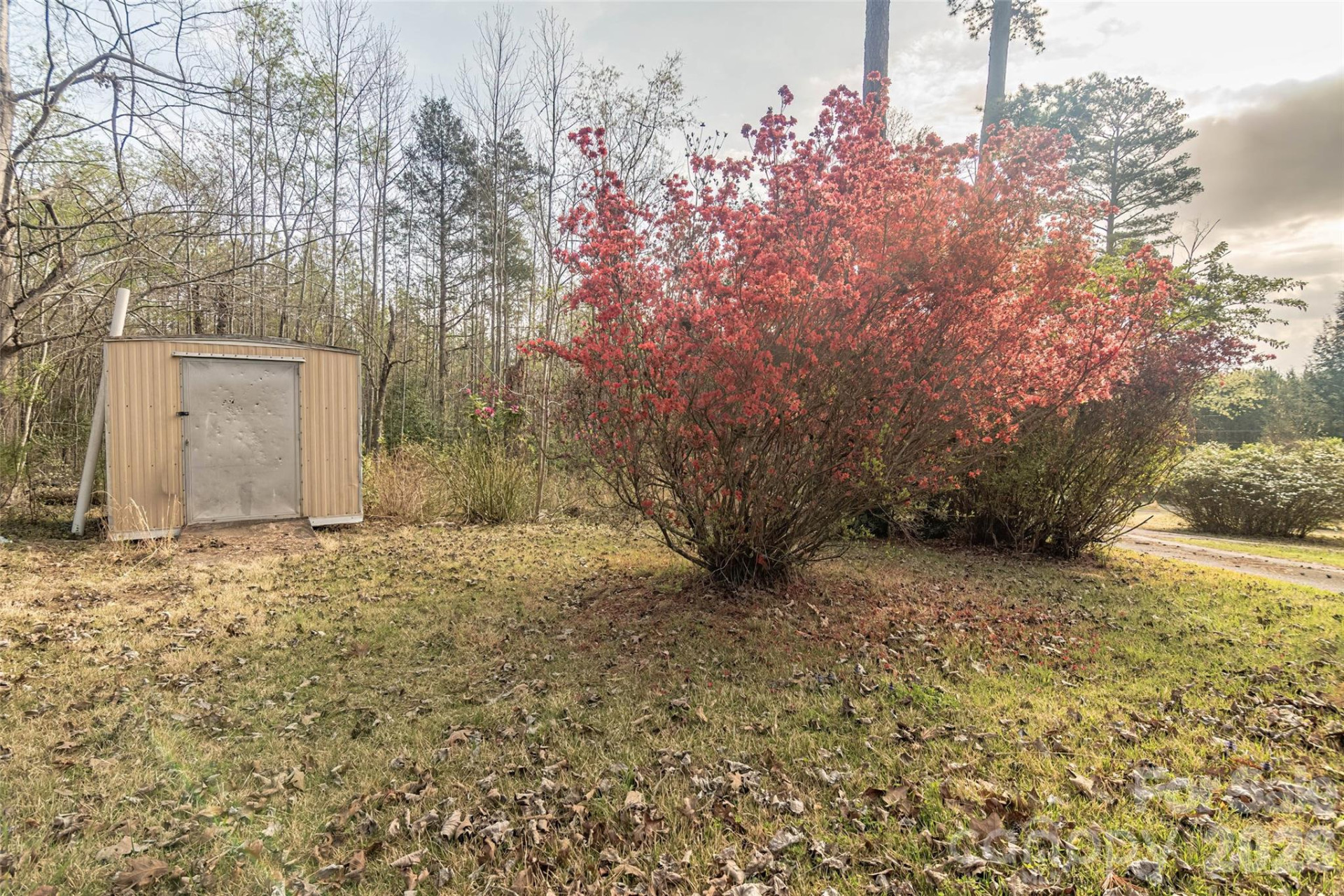 3951 Maple Creek Road - Photo 43