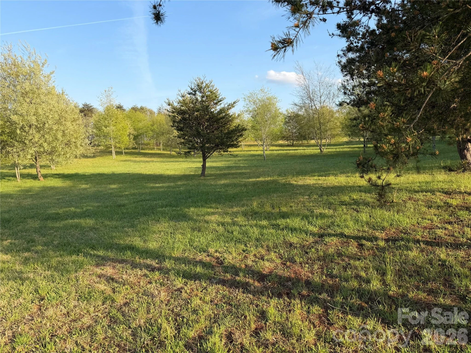 201 Blue Mountain Lane #1 - Photo 2