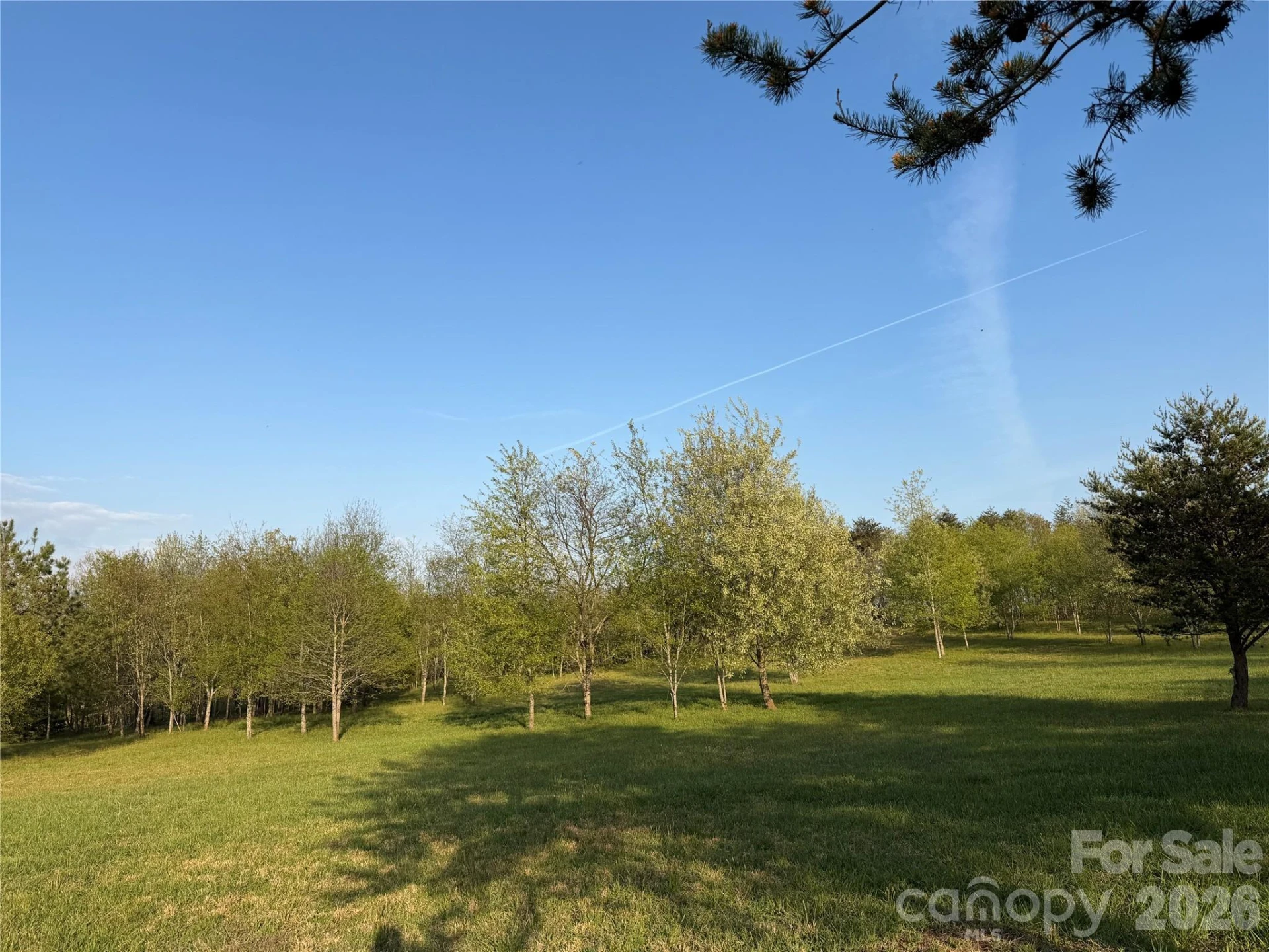 201 Blue Mountain Lane #1 - Photo 3