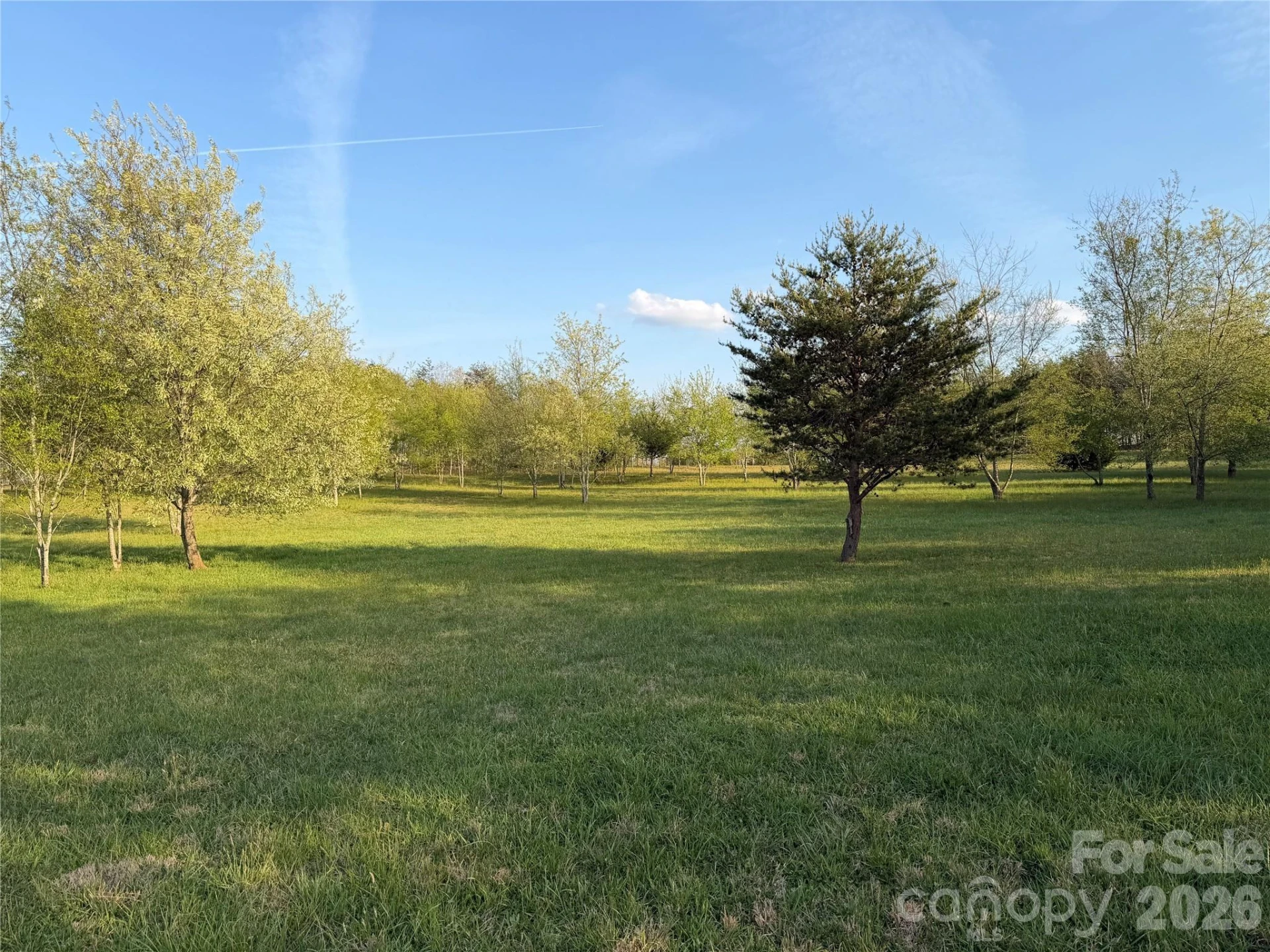 201 Blue Mountain Lane #1 - Photo 4