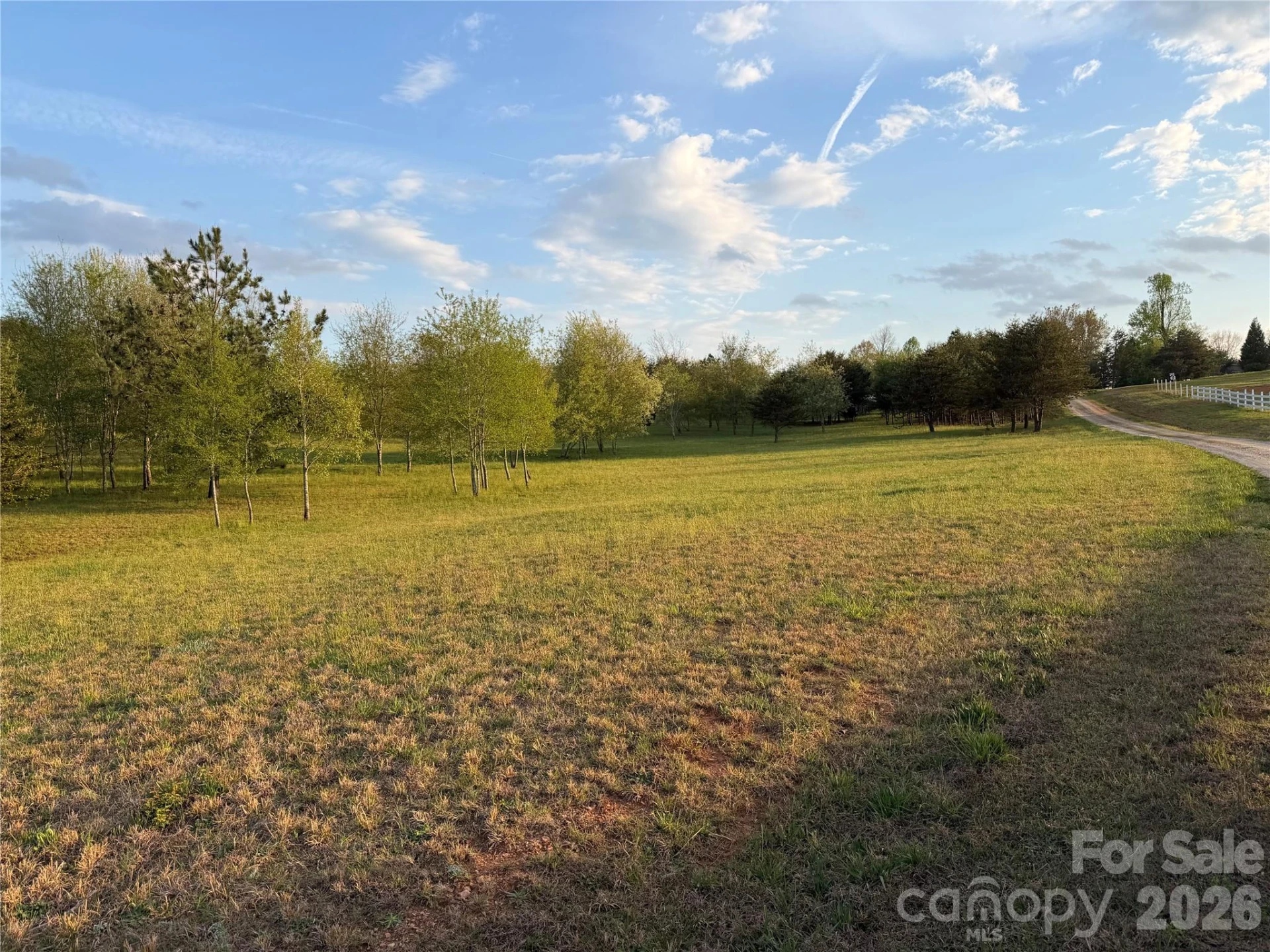 201 Blue Mountain Lane #1 - Photo 5