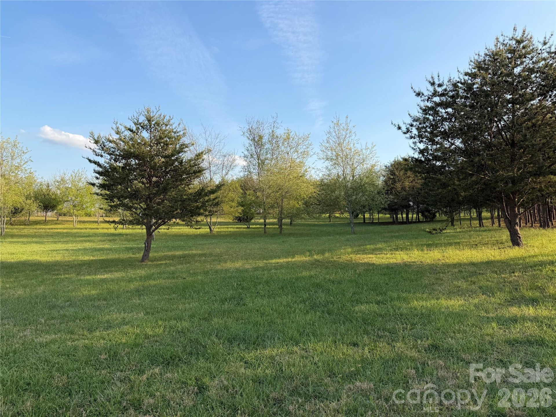 201 Blue Mountain Lane #1 - Photo 6