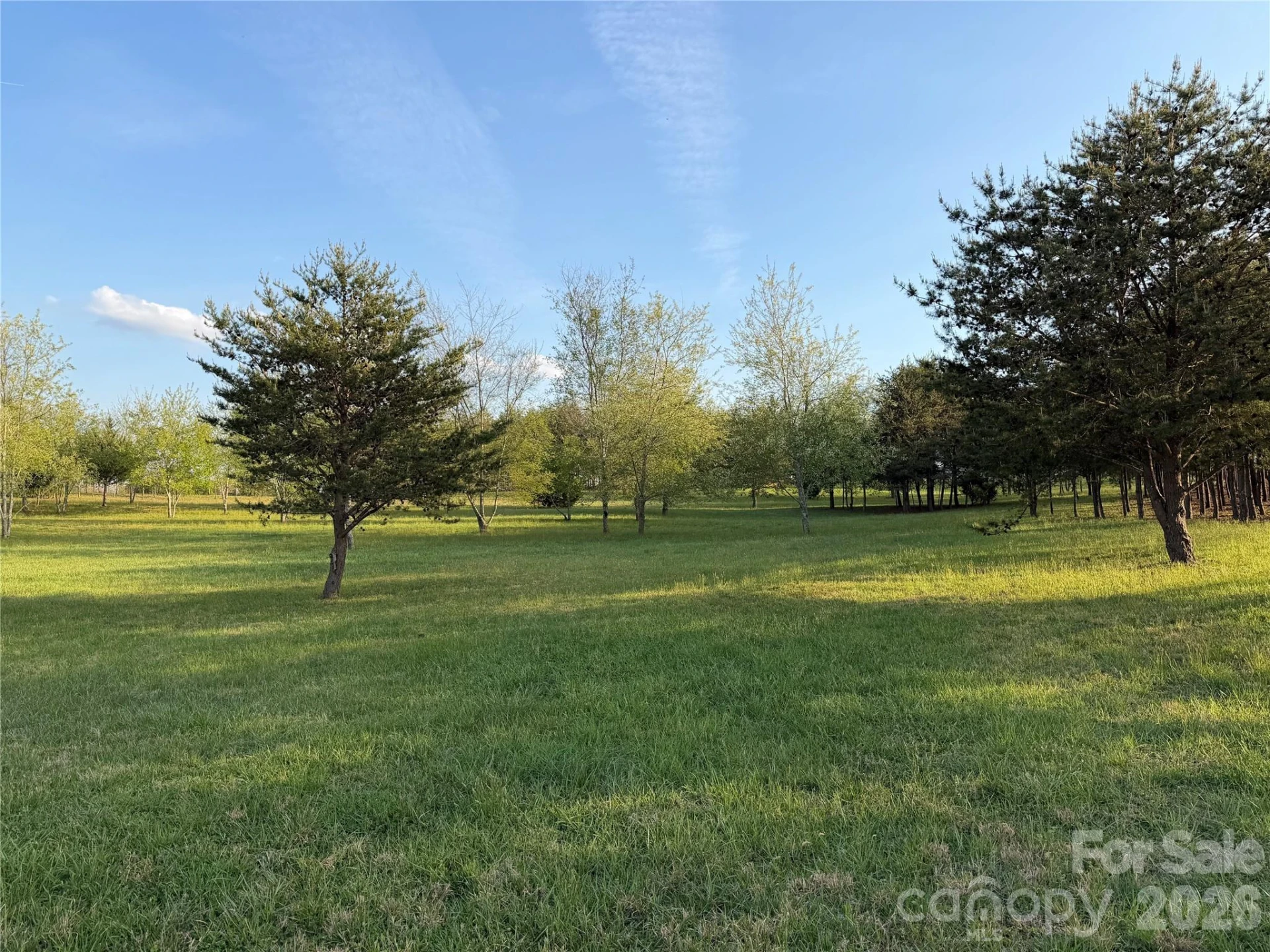 201 Blue Mountain Lane #1 - Photo 6