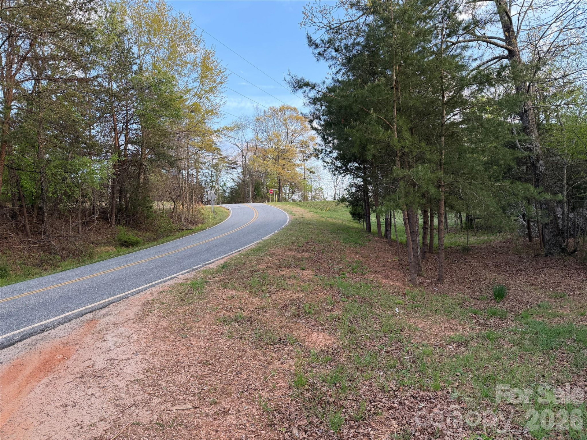 201 Blue Mountain Lane #1 - Photo 8