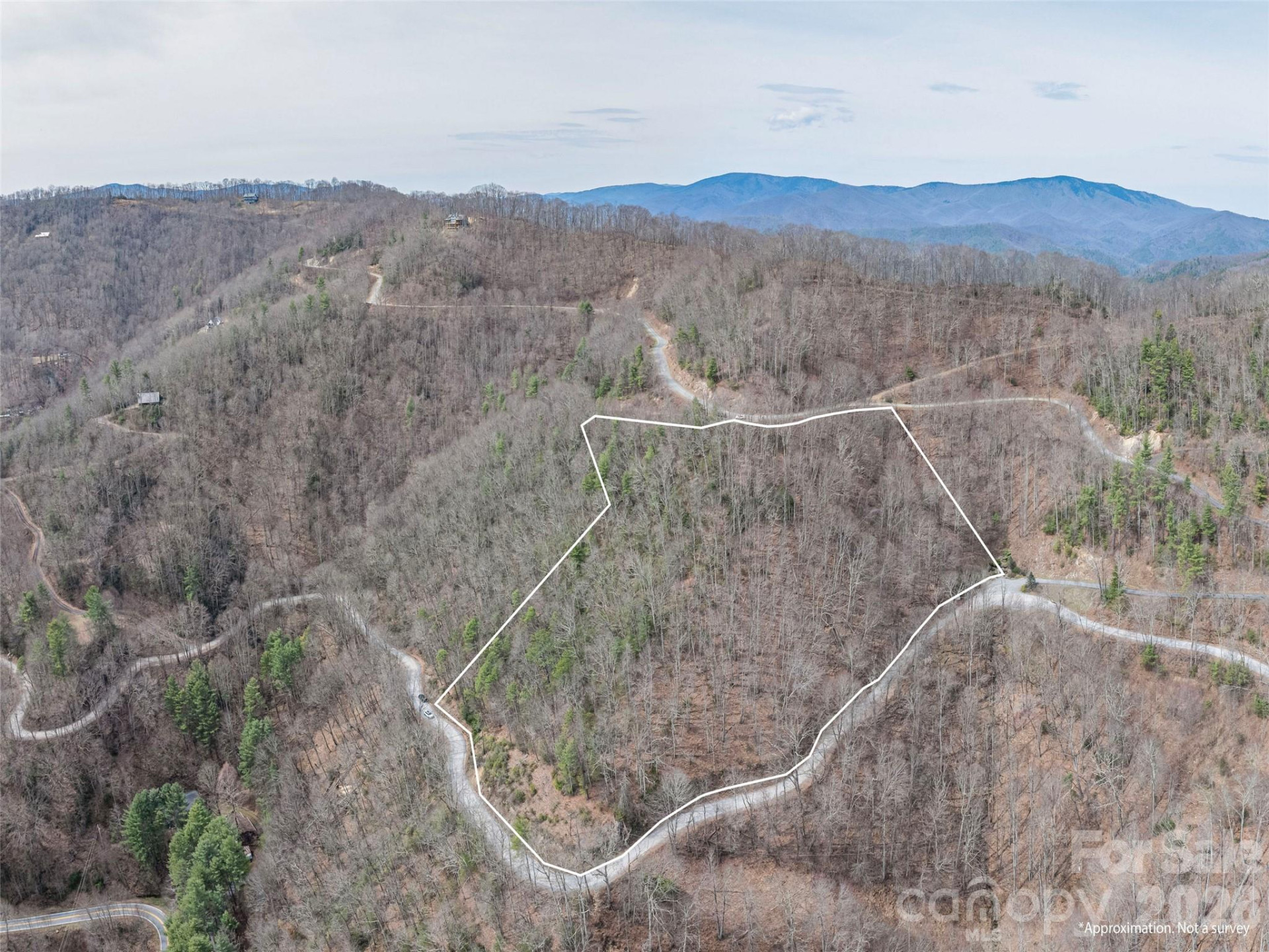 0000 Sigogglin Trail #4 - Photo 11