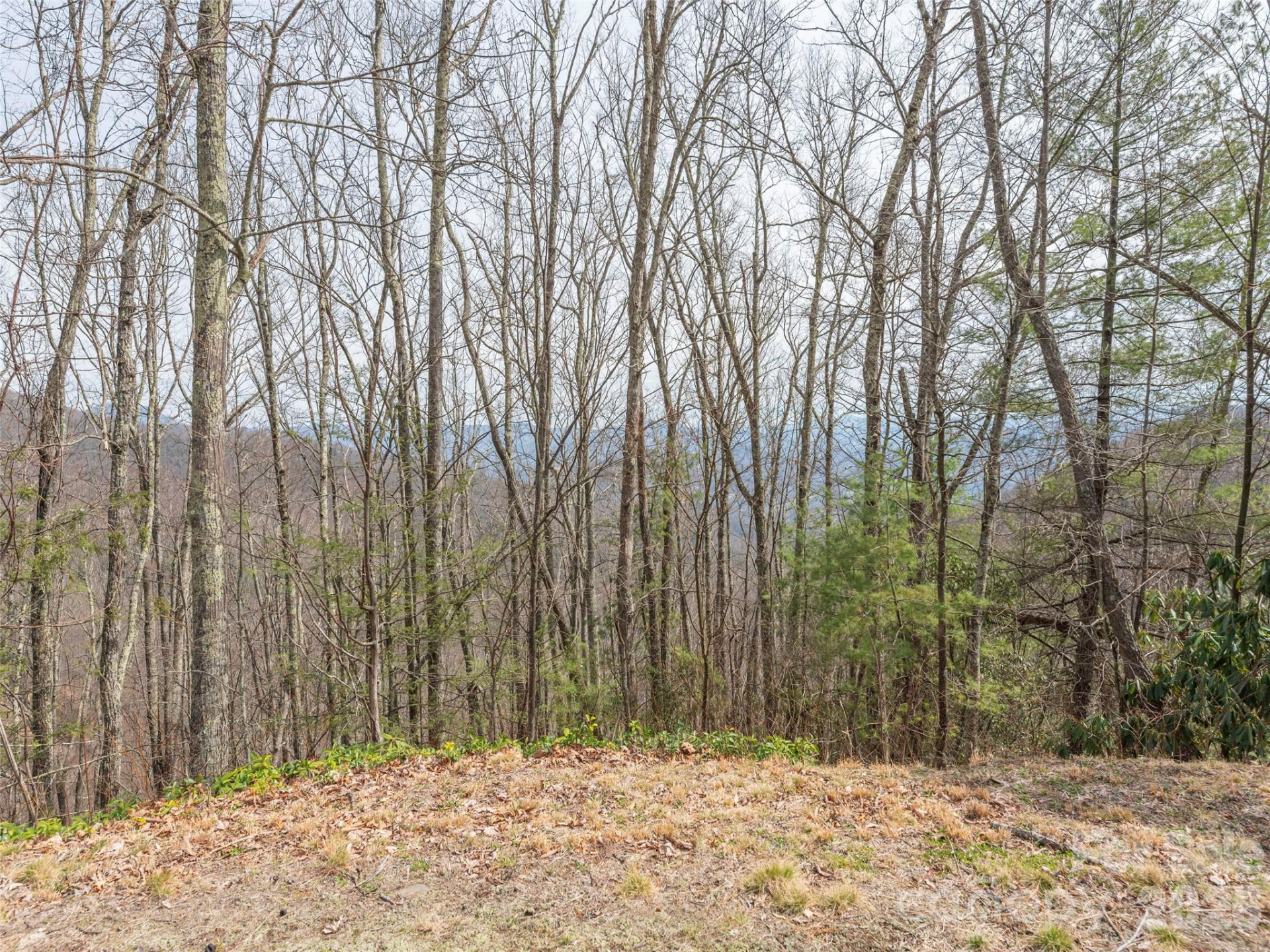 0000 Sigogglin Trail #4 - Photo 4