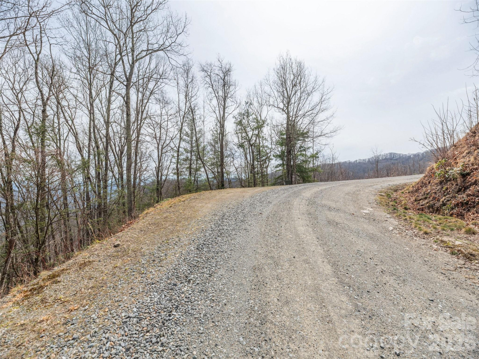 0000 Sigogglin Trail #4 - Photo 5