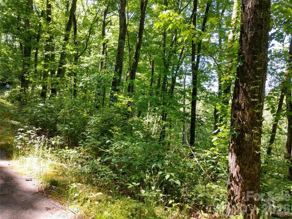 00 Hudson Valley Drive #11 - Photo 11