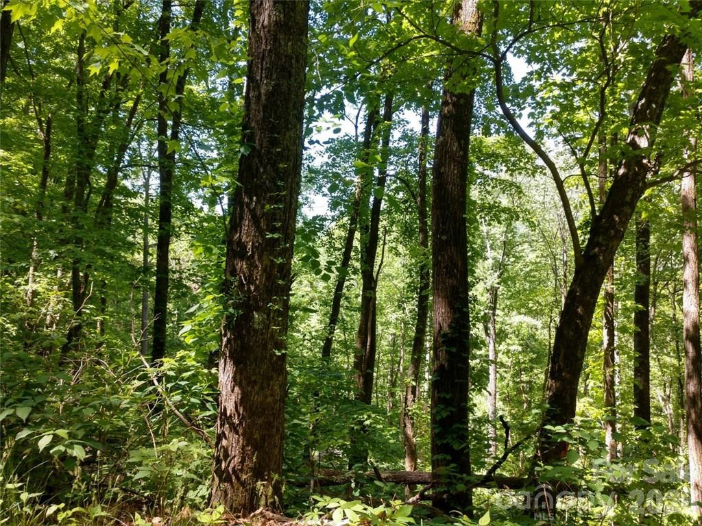 00 Hudson Valley Drive #11 - Photo 12