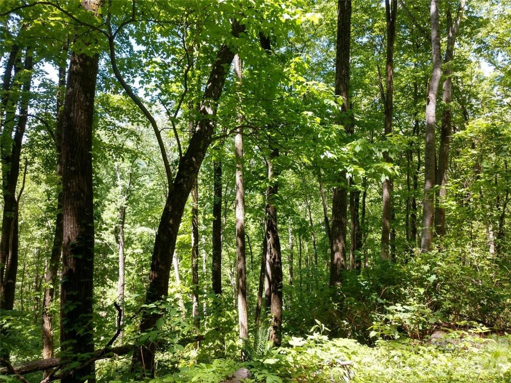 00 Hudson Valley Drive #11 - Photo 13