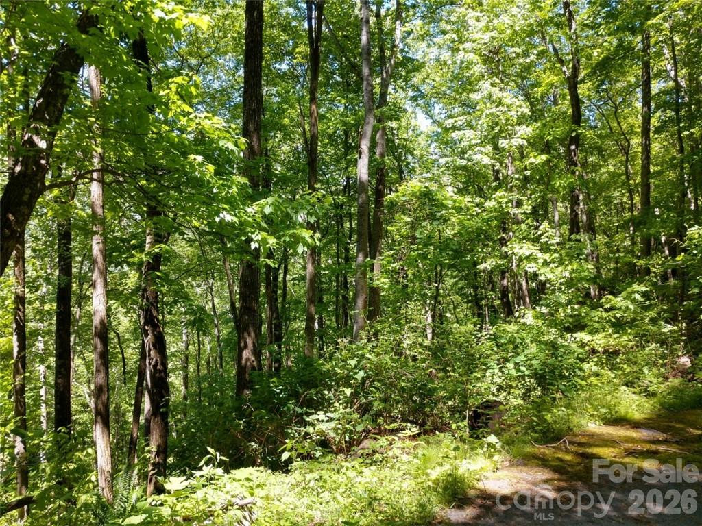 00 Hudson Valley Drive #11 - Photo 14