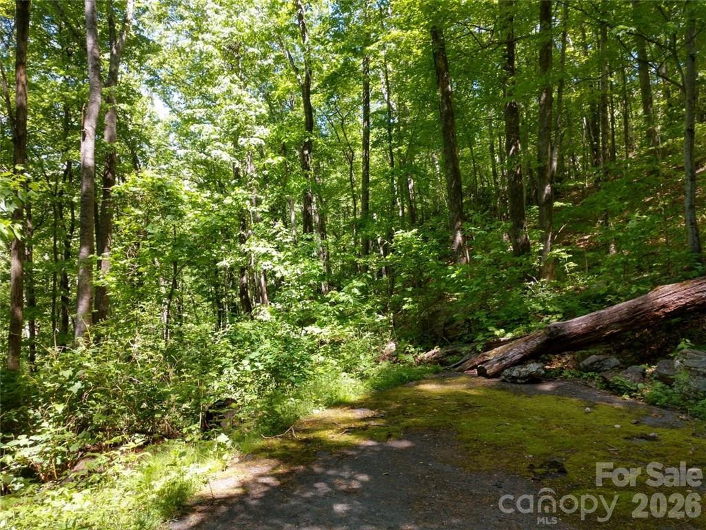 00 Hudson Valley Drive #11 - Photo 15