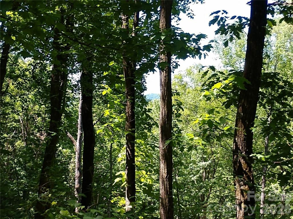 00 Hudson Valley Drive #11 - Photo 3