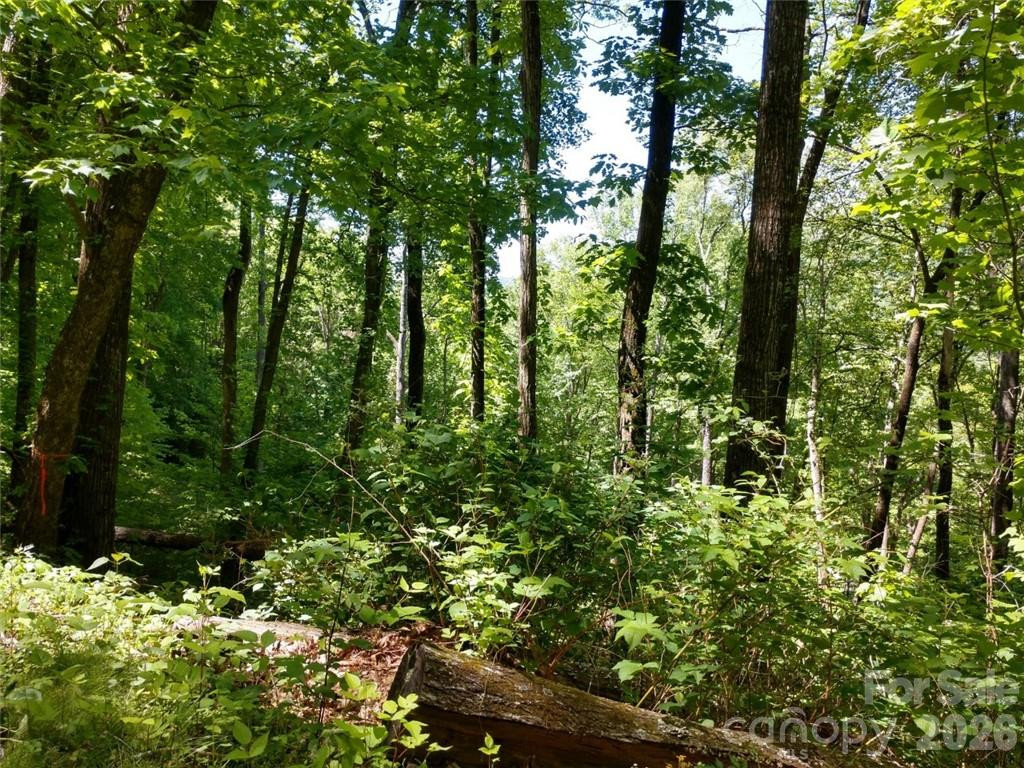 00 Hudson Valley Drive #11 - Photo 4