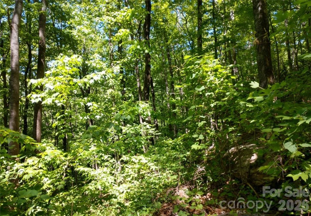 00 Hudson Valley Drive #11 - Photo 5