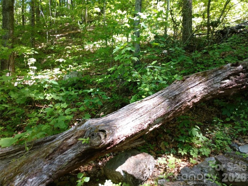 00 Hudson Valley Drive #11 - Photo 6