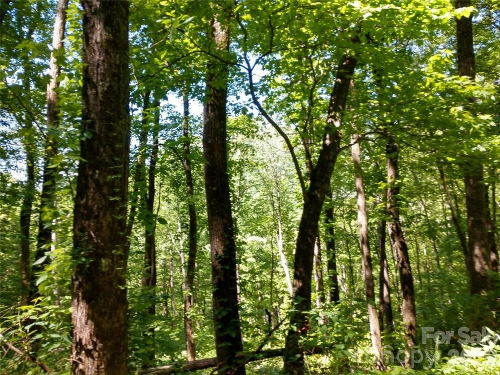 00 Hudson Valley Drive #11 - Photo 7