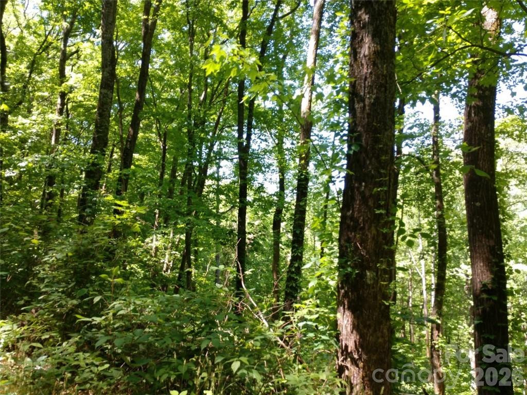 00 Hudson Valley Drive #11 - Photo 8