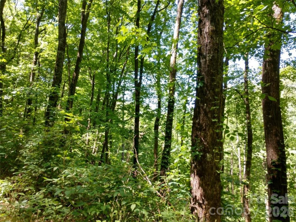 00 Hudson Valley Drive #11 - Photo 9