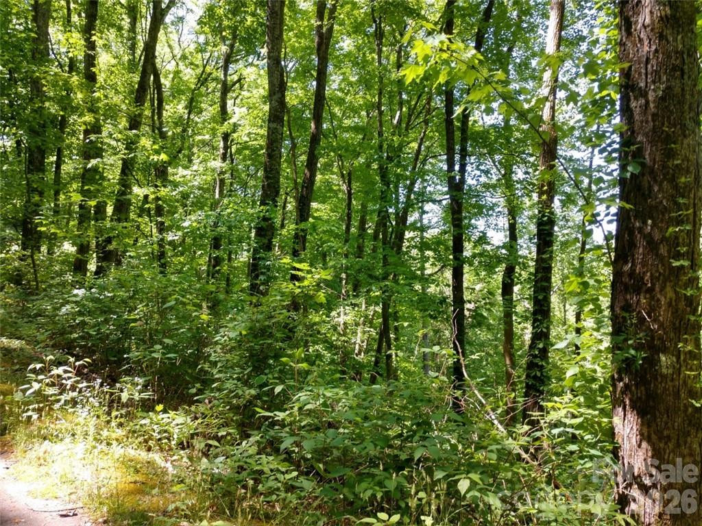 00 Hudson Valley Drive #11 - Photo 10