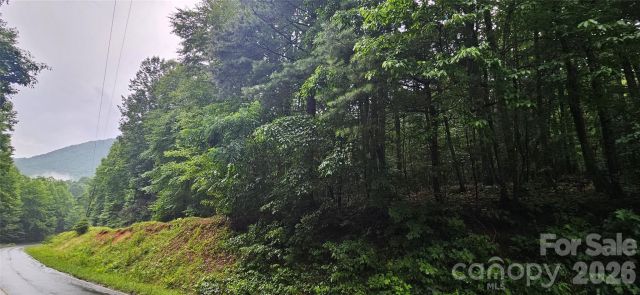 0 Old CCC Road, Hendersonville, NC, 28739