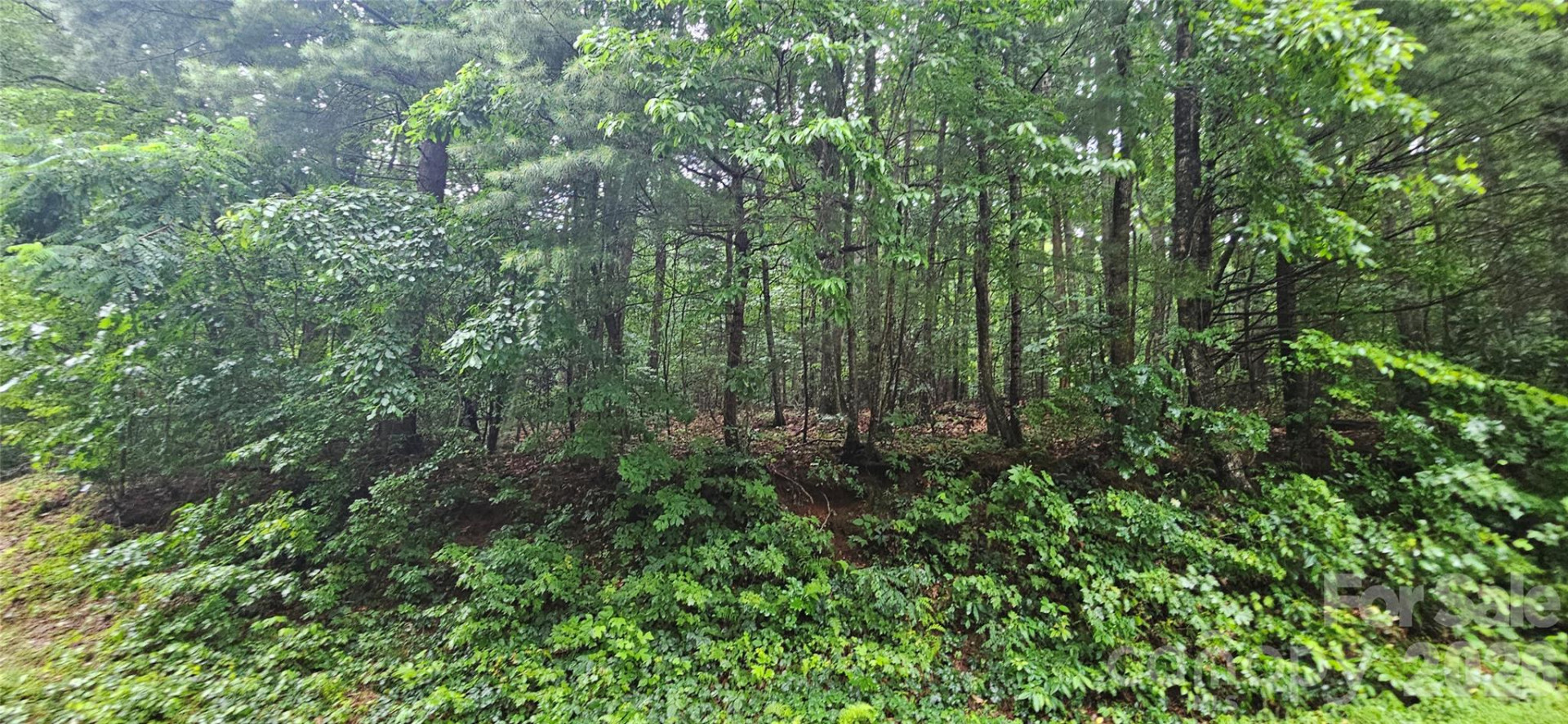 0 Old CCC Road - Photo 2