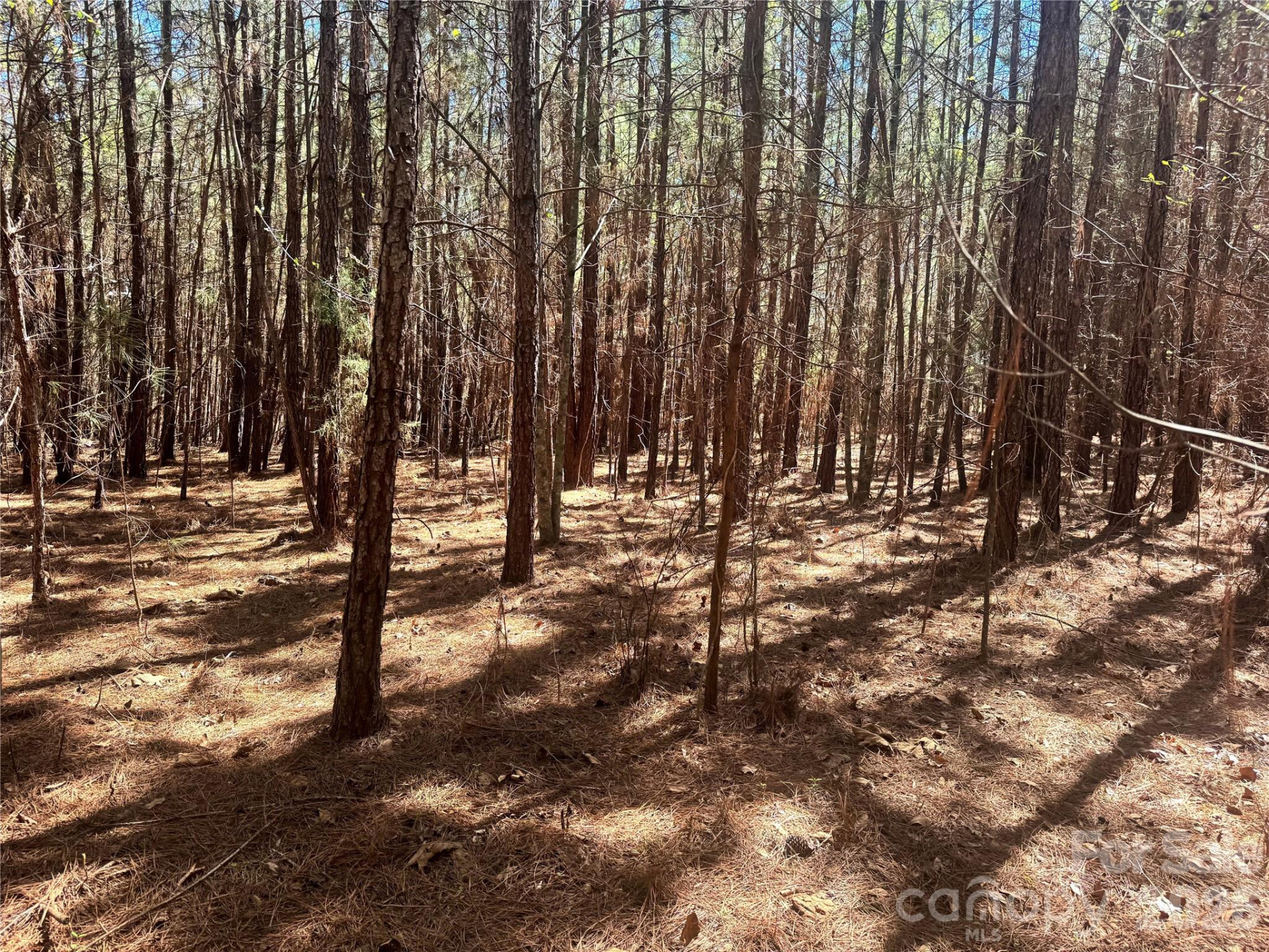 0 Puzzle Creek Road - Photo 2