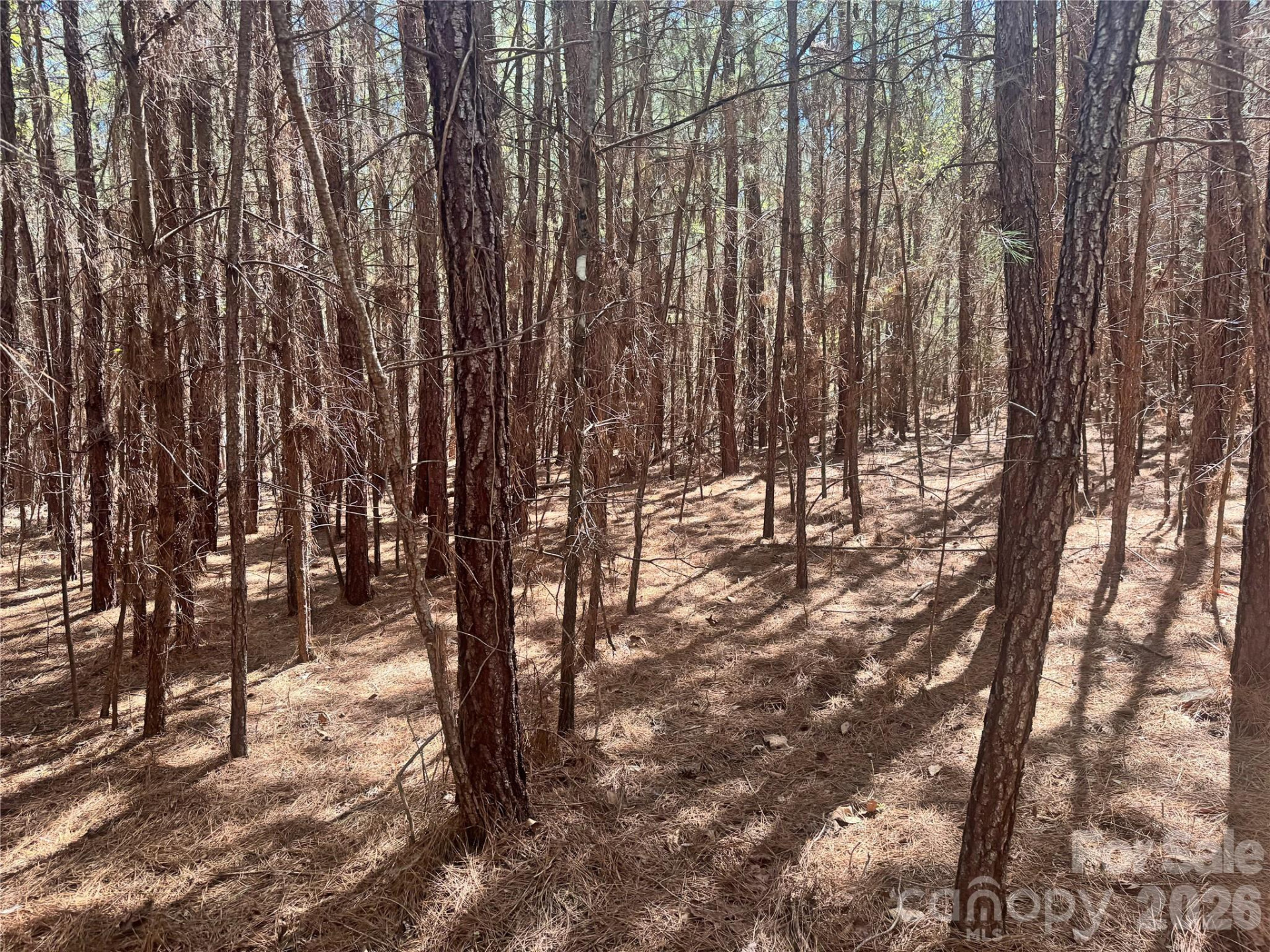 0 Puzzle Creek Road - Photo 3