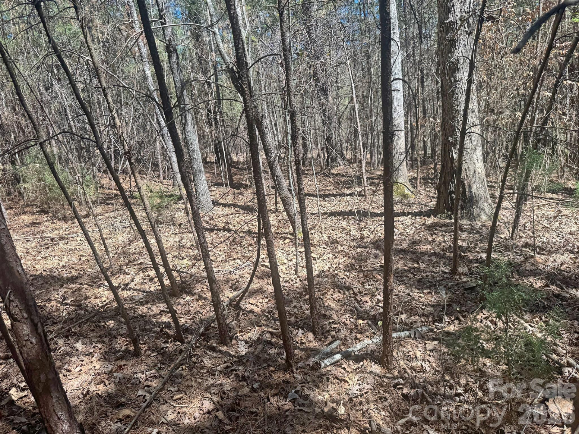 0 Puzzle Creek Road - Photo 4