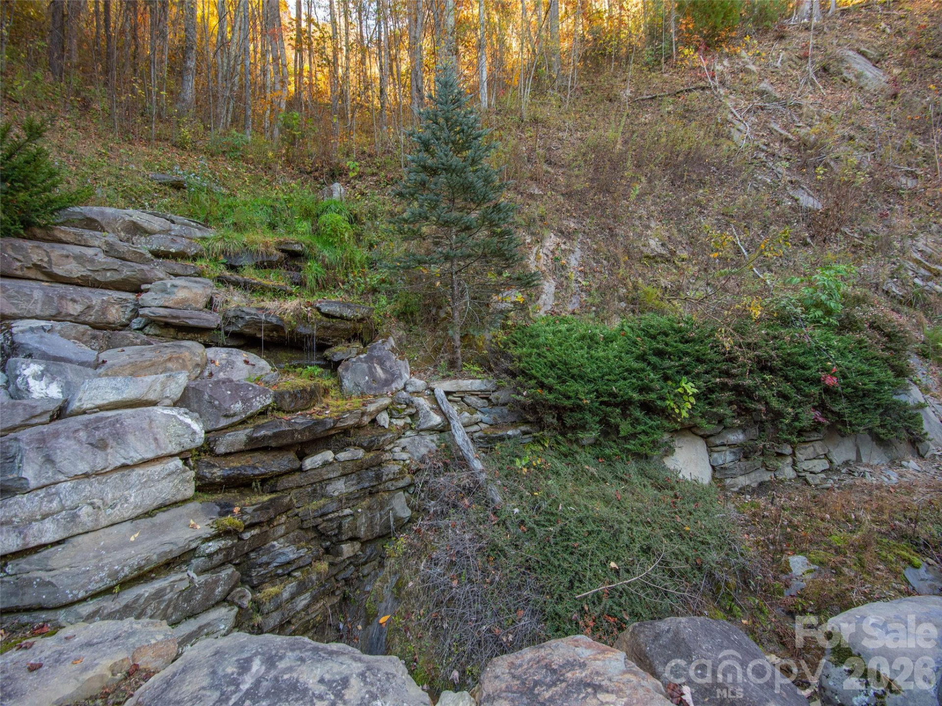 000 Sigogglin Road #17 - Photo 23