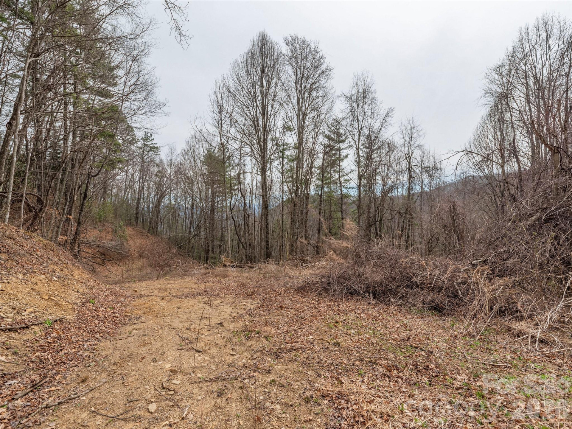 000 Sigogglin Road #17 - Photo 4