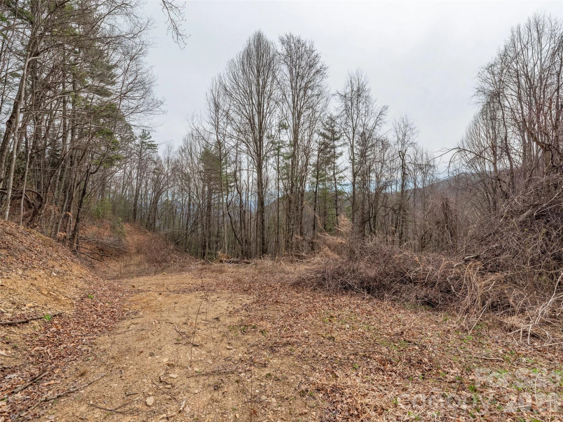 000 Sigogglin Road #17 - Photo 4