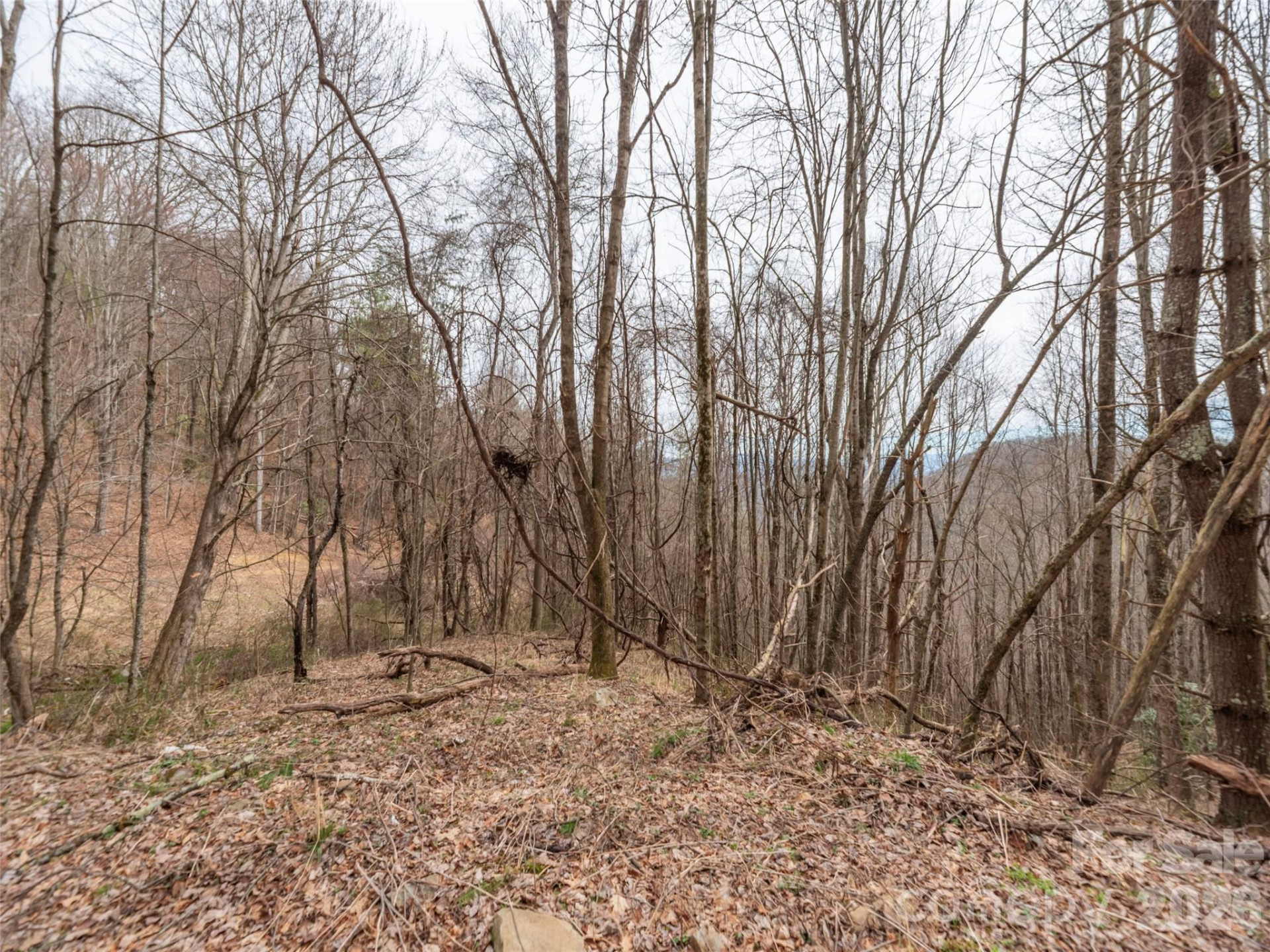 000 Sigogglin Road #17 - Photo 6