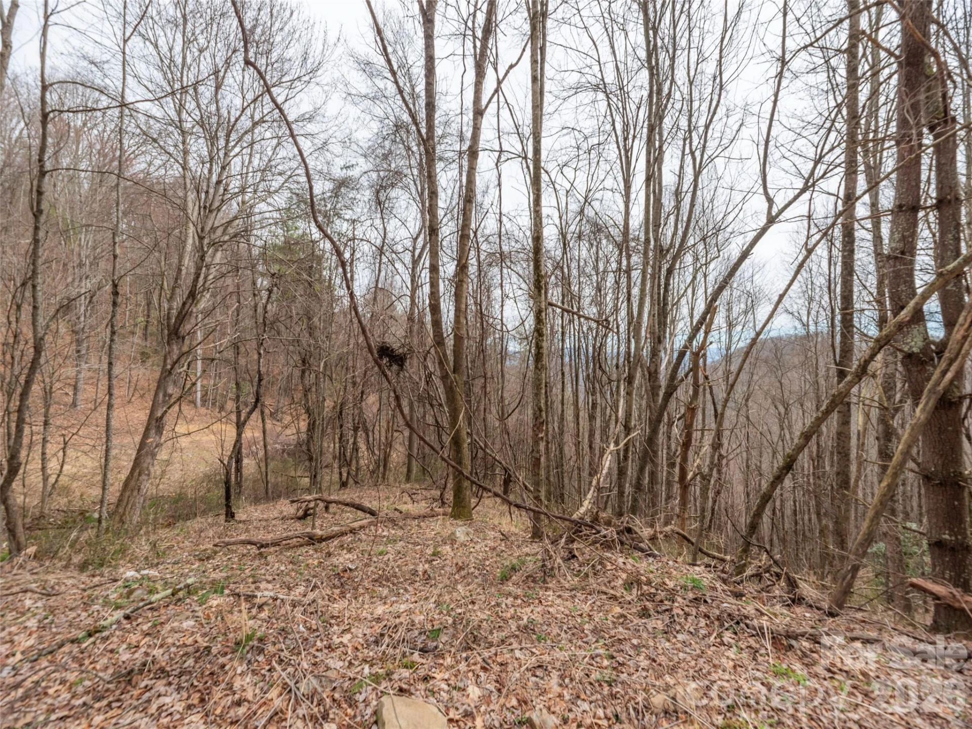 000 Sigogglin Road #17 - Photo 6