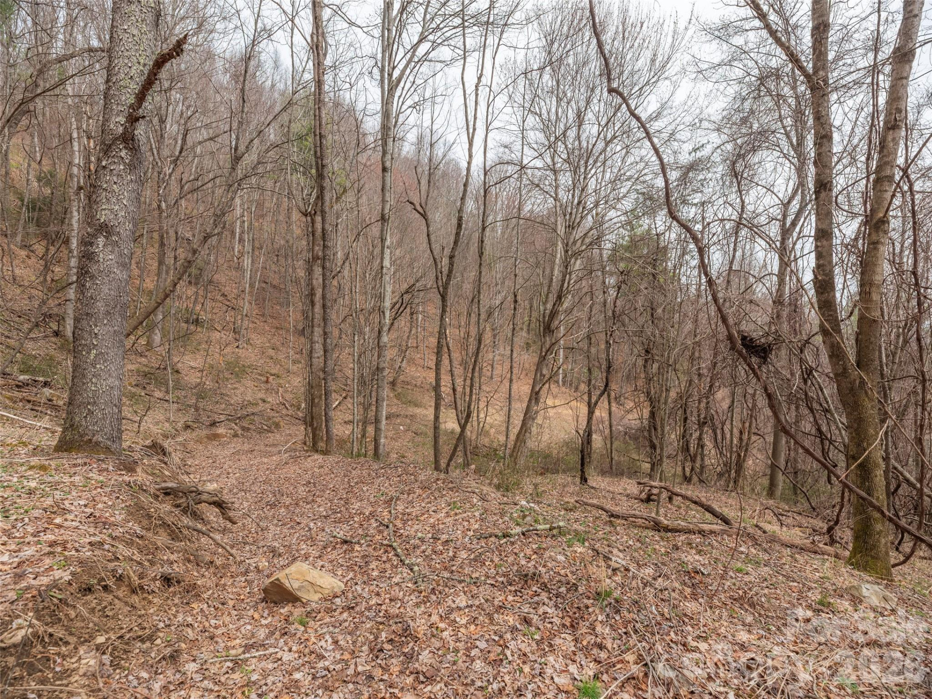 000 Sigogglin Road #17 - Photo 7