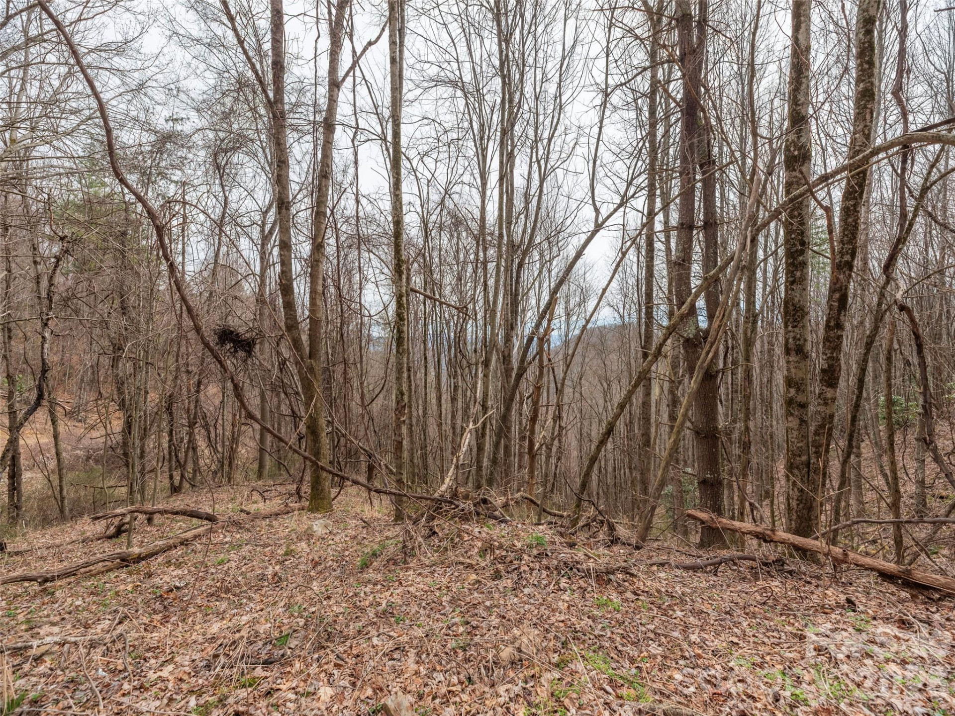 000 Sigogglin Road #17 - Photo 8